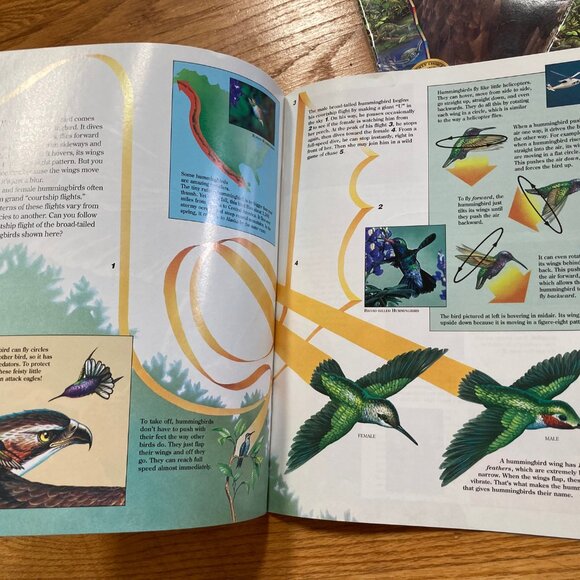 Bundle of 19 Zoobooks Magazines for Kids - Picture 5 of 16